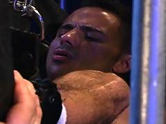 Damn this is intense fucking! Studly Michael Vincenzo is in a sling, legs and ass in the air, ready for hung Latino star Tony Serrano. Tony does such a good job...