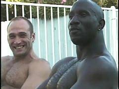 Get the best of different worlds with Gay Porn Interracial. With ebony and ivory gay couples in non-stop sex plays. Cock and ass lickers, heavy anal wanking and lustfully hot cum releasing orgy sessions all in one site.