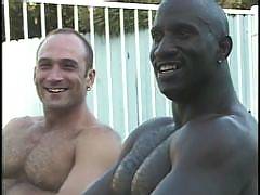 Get the best of different worlds with Gay Porn Interracial. With ebony and ivory gay couples in non-stop sex plays. Cock and ass lickers, heavy anal wanking and lustfully hot cum releasing orgy sessions all in one site.